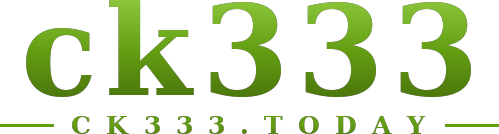 ck333 logo